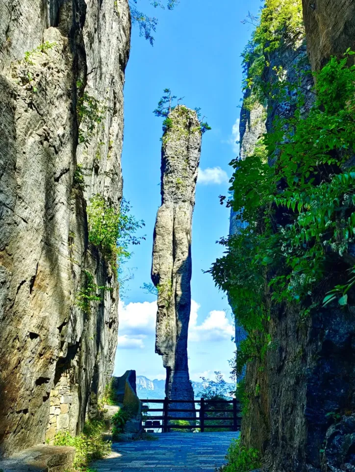 1-250G0152140206 image.png